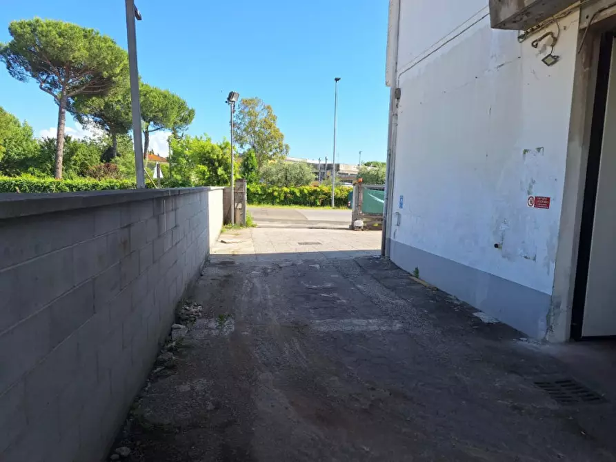 Immagine 21 di Capannone industriale in vendita  in Via Francesca Nord, 90, 56020 Santa Maria A Monte PI, Italia a Santa Maria A Monte