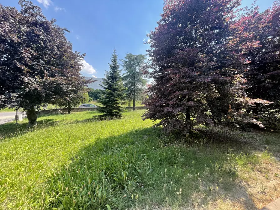 Immagine 29 di Villa in vendita  a Guastalla