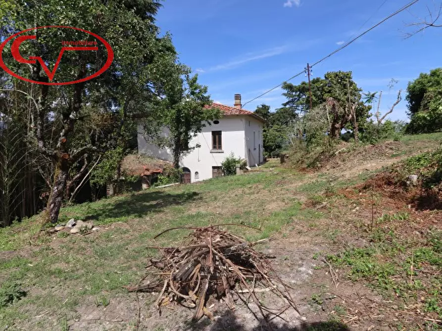 Immagine 7 di Villa in vendita  in caposelvi a Montevarchi