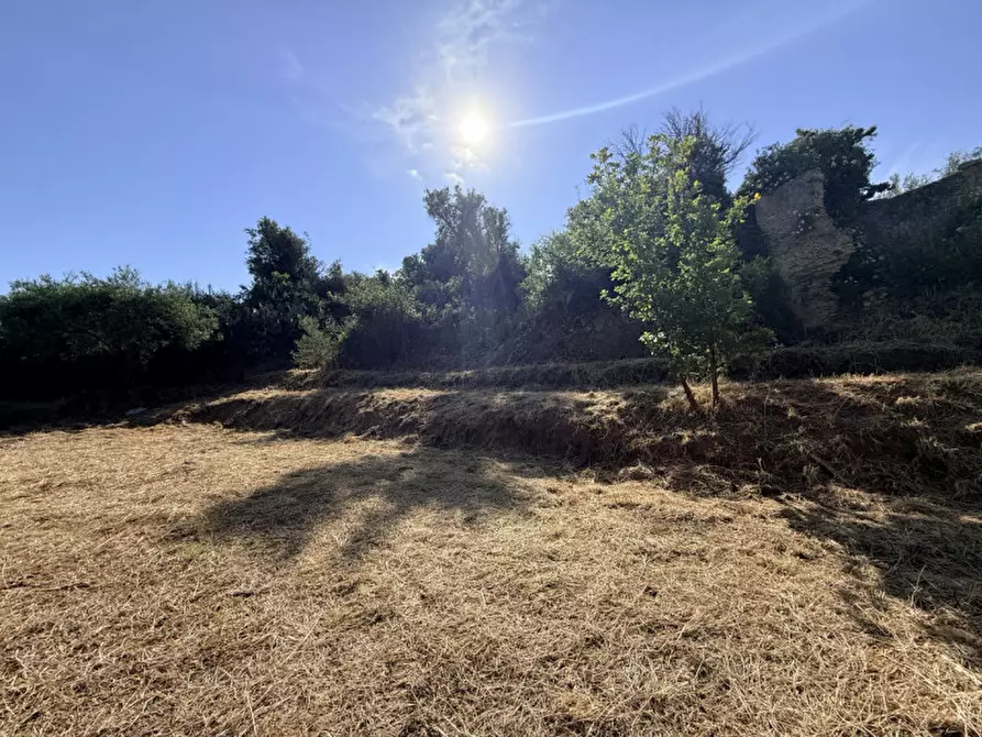 Immagine 17 di Villa in vendita  in vicolo montebello centineo a Barcellona Pozzo Di Gotto