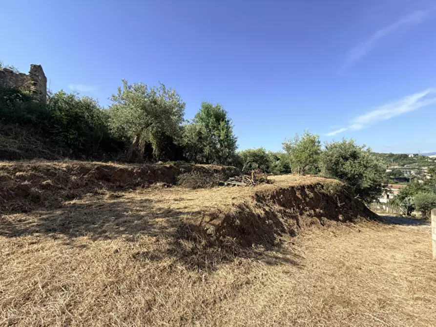 Immagine 19 di Villa in vendita  in vicolo montebello centineo a Barcellona Pozzo Di Gotto