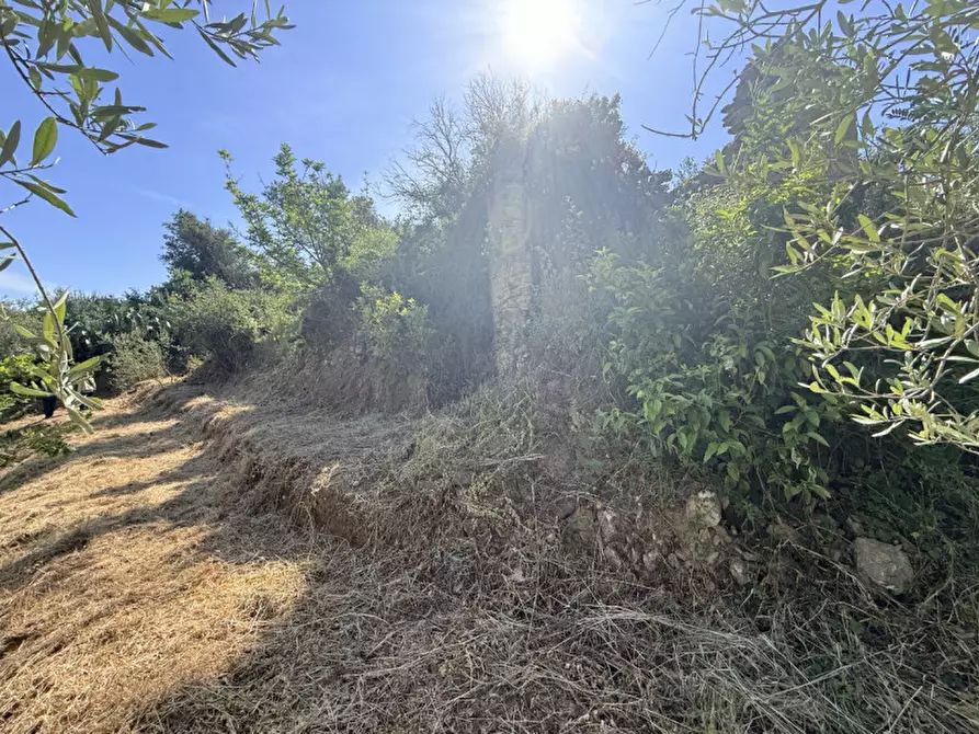 Immagine 29 di Villa in vendita  in vicolo montebello centineo a Barcellona Pozzo Di Gotto