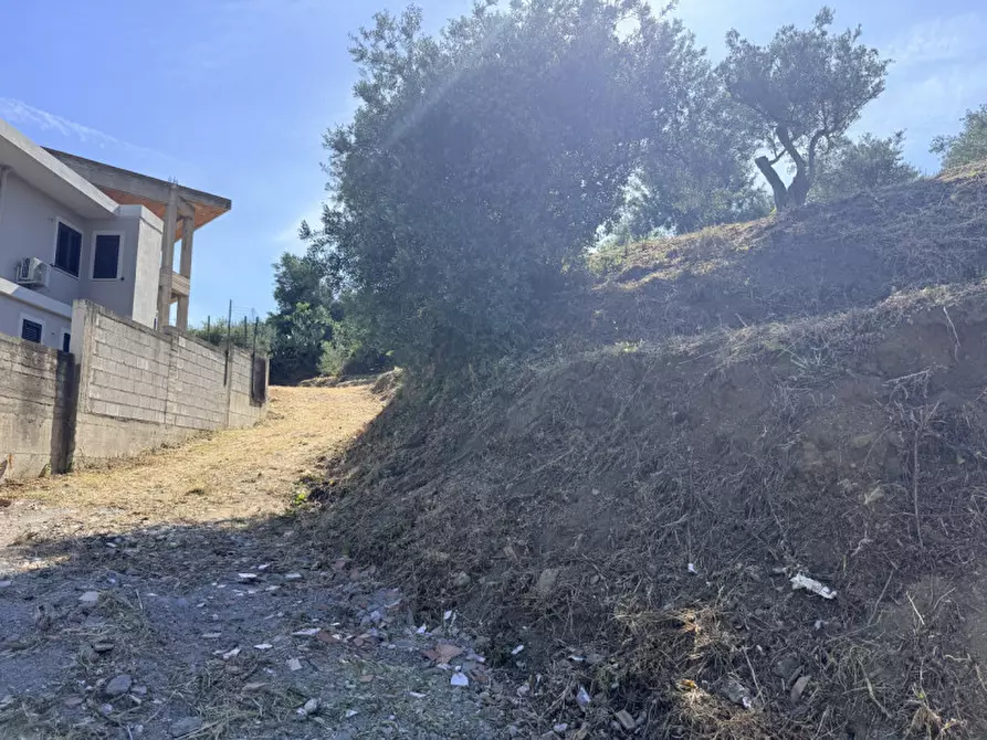 Immagine 36 di Villa in vendita  in vicolo montebello centineo a Barcellona Pozzo Di Gotto