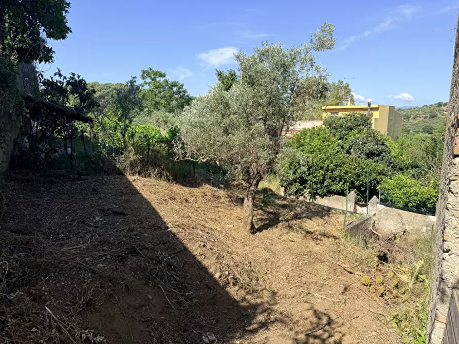 Immagine 40 di Villa in vendita  in vicolo montebello centineo a Barcellona Pozzo Di Gotto