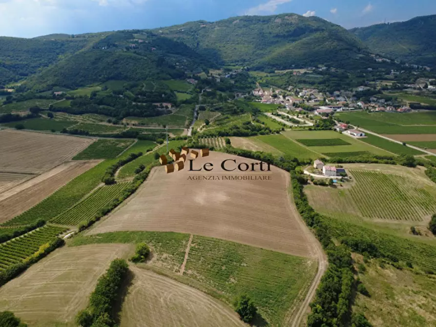 Immagine 2 di Terreno in vendita  a Villaga