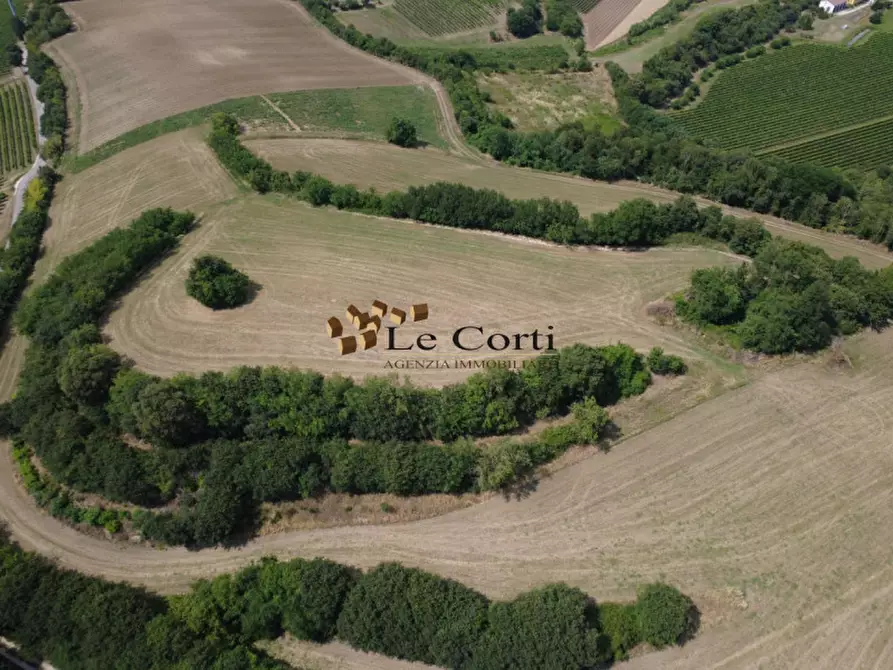 Immagine 5 di Terreno in vendita  a Villaga