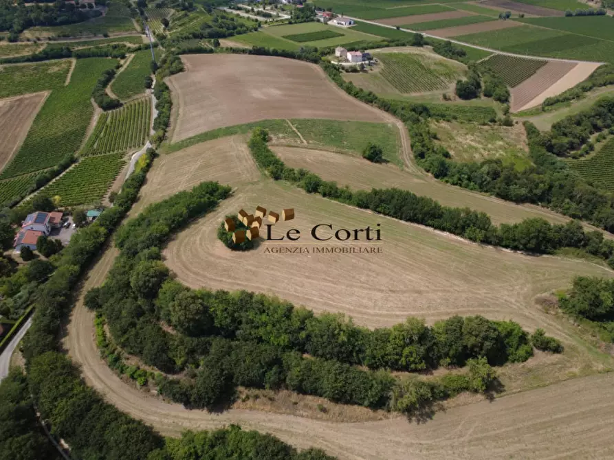 Immagine 6 di Terreno in vendita  a Villaga