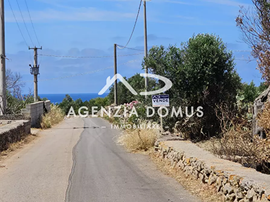 Immagine 3 di Rustico / casale in vendita  in Contrada Campore a Alliste