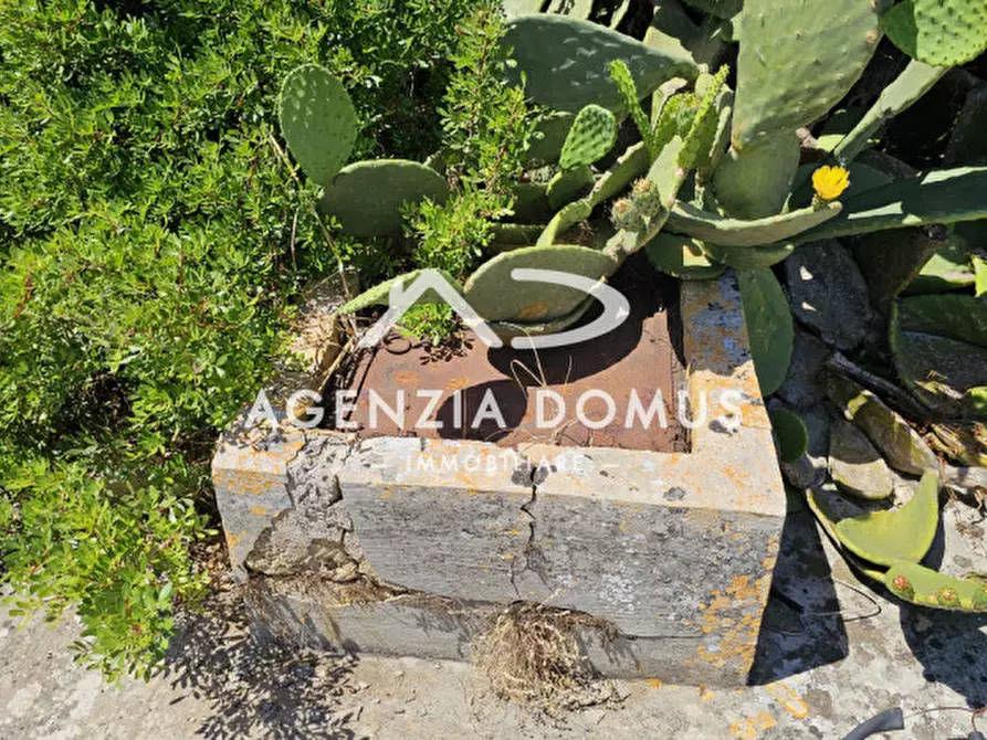 Immagine 8 di Rustico / casale in vendita  in Contrada Campore a Alliste
