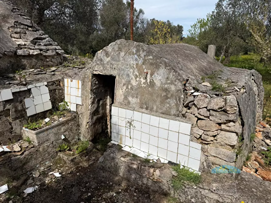 Immagine 4 di Rustico / casale in vendita  in contrada Fedele Grande a Ceglie Messapico