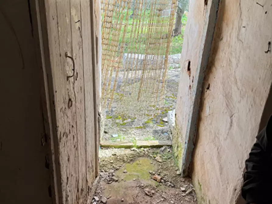 Immagine 5 di Rustico / casale in vendita  in contrada Fedele Grande a Ceglie Messapico