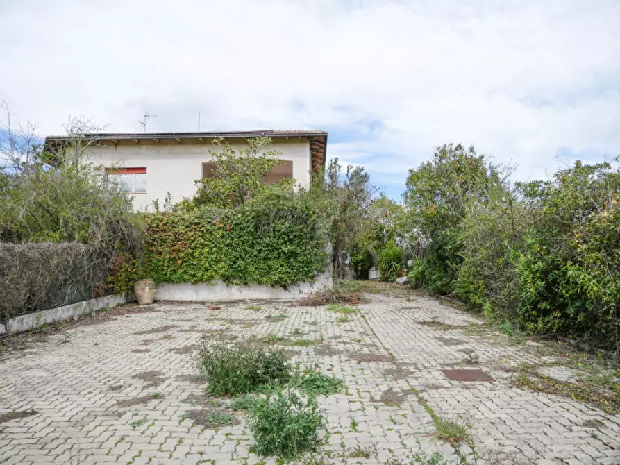 Immagine 2 di Casa indipendente in vendita  in Contrada Collalto a Pianella