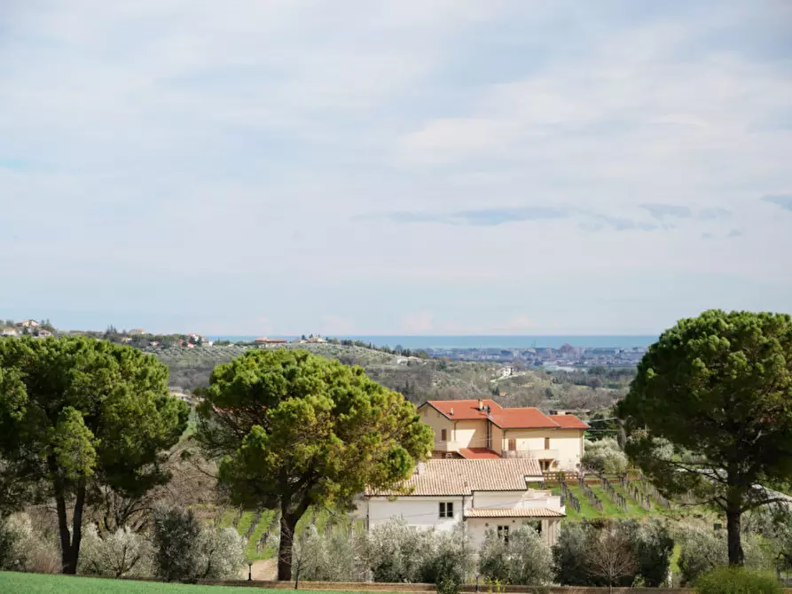 Immagine 22 di Casa indipendente in vendita  in Contrada Collalto a Pianella