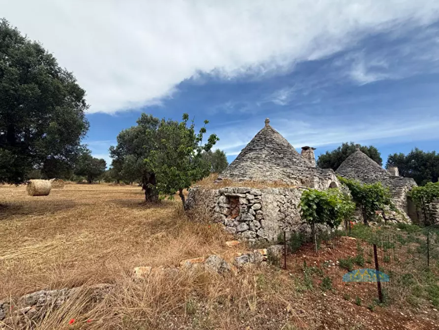 Immagine 2 di Rustico / casale in vendita  in Contrada Fedele Grande a Ceglie Messapico