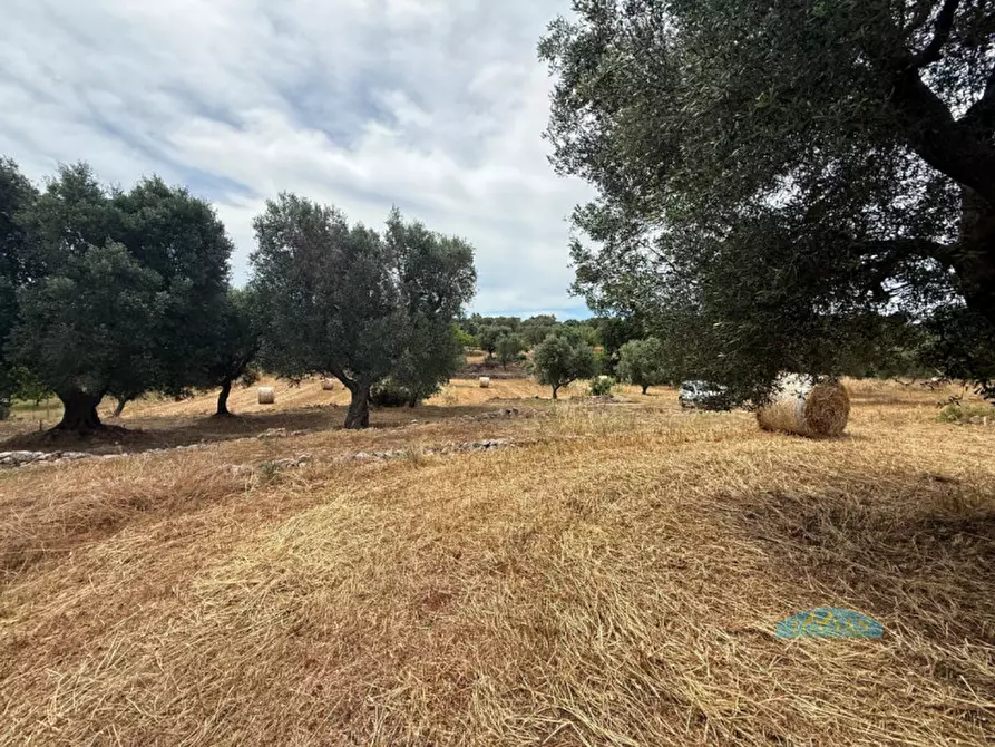 Immagine 14 di Rustico / casale in vendita  in Contrada Fedele Grande a Ceglie Messapico