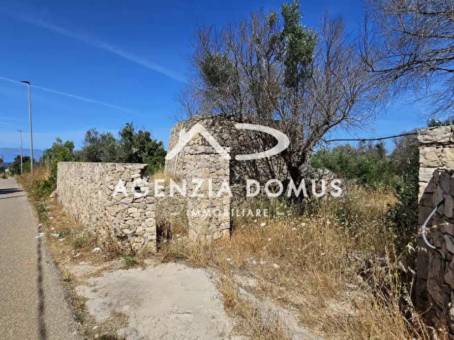 Immagine 2 di Rustico / casale in vendita  in torre suda via conte di torino a Racale
