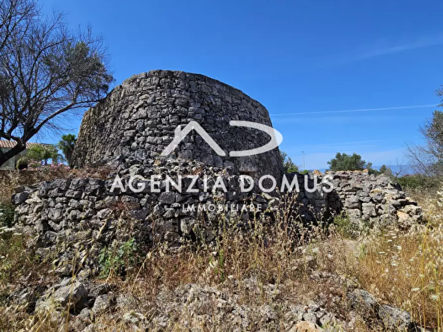 Immagine 5 di Rustico / casale in vendita  in torre suda via conte di torino a Racale