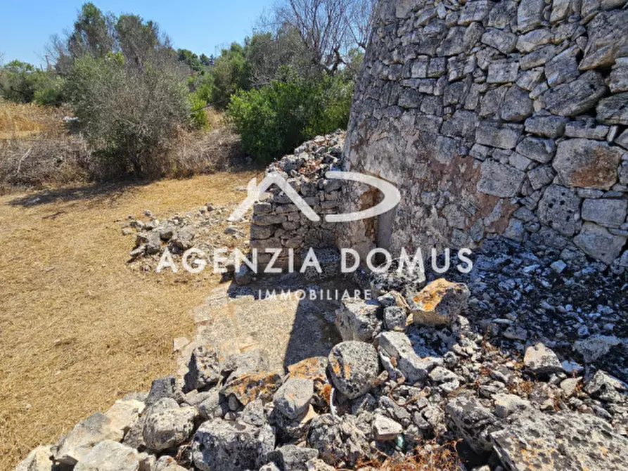 Immagine 20 di Rustico / casale in vendita  in torre suda via conte di torino a Racale