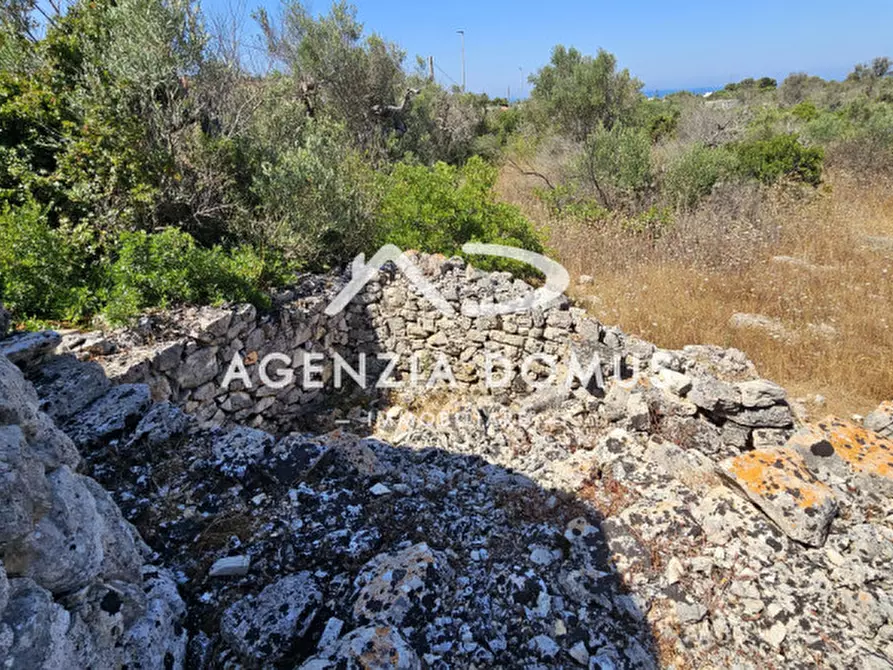 Immagine 21 di Rustico / casale in vendita  in torre suda via conte di torino a Racale