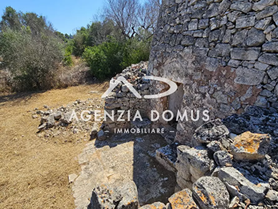 Immagine 22 di Rustico / casale in vendita  in torre suda via conte di torino a Racale