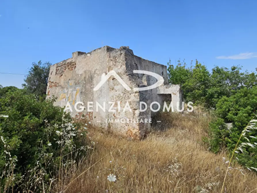 Immagine 3 di Rustico / casale in vendita  a Racale
