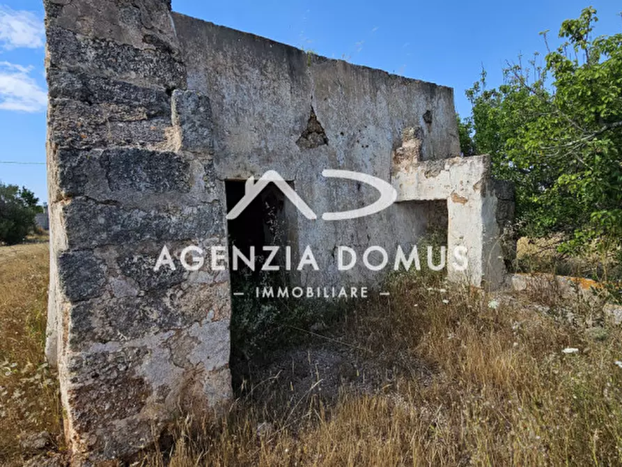 Immagine 5 di Rustico / casale in vendita  a Racale