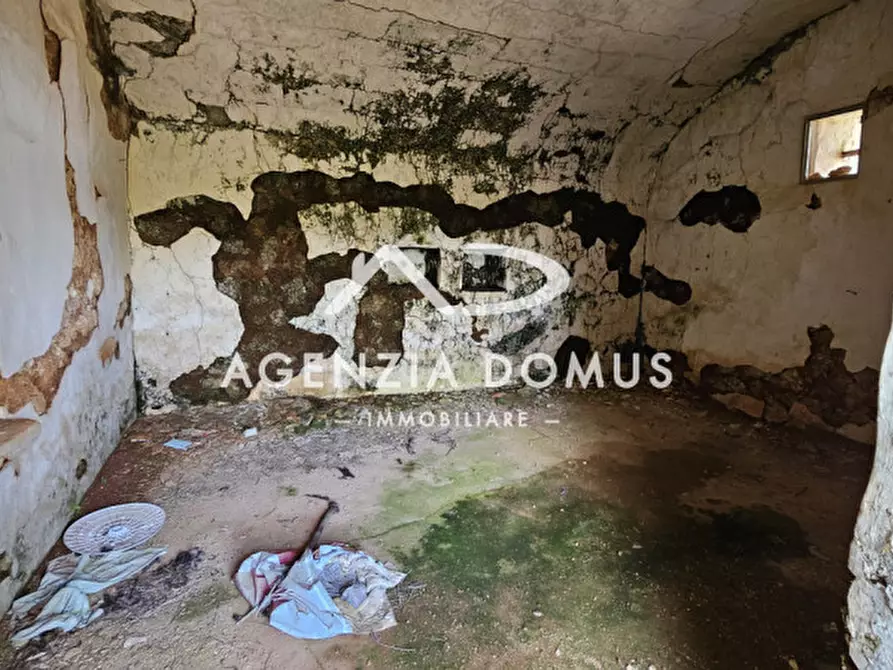 Immagine 7 di Rustico / casale in vendita  a Racale