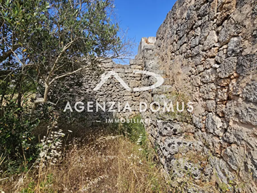 Immagine 9 di Rustico / casale in vendita  a Racale