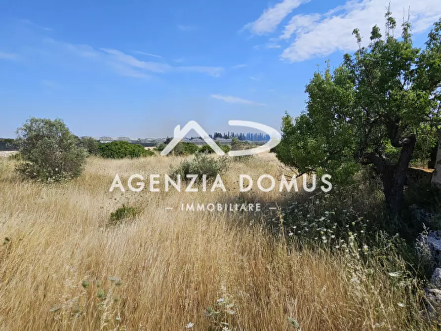 Immagine 17 di Rustico / casale in vendita  a Racale