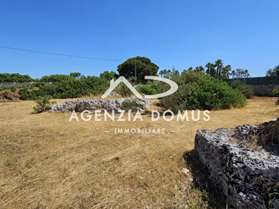 Immagine 20 di Rustico / casale in vendita  a Racale