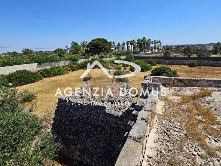 Immagine 25 di Rustico / casale in vendita  a Racale