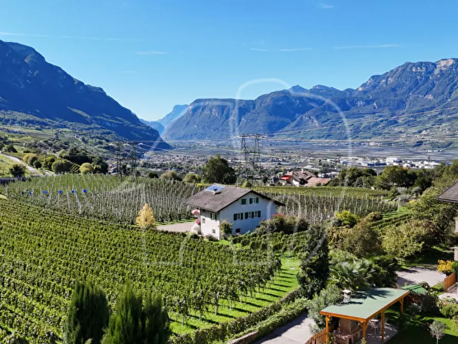 Immagine 4 di Casa indipendente in vendita  in Neumarktner Straße - Via Egna a Montagna .Montan.