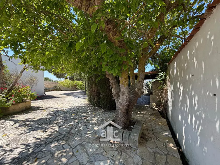 Immagine 5 di Appartamento in vendita  in via santa caterina ,3-5 a Lecce