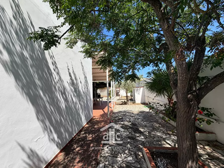 Immagine 14 di Appartamento in vendita  in via santa caterina ,3-5 a Lecce