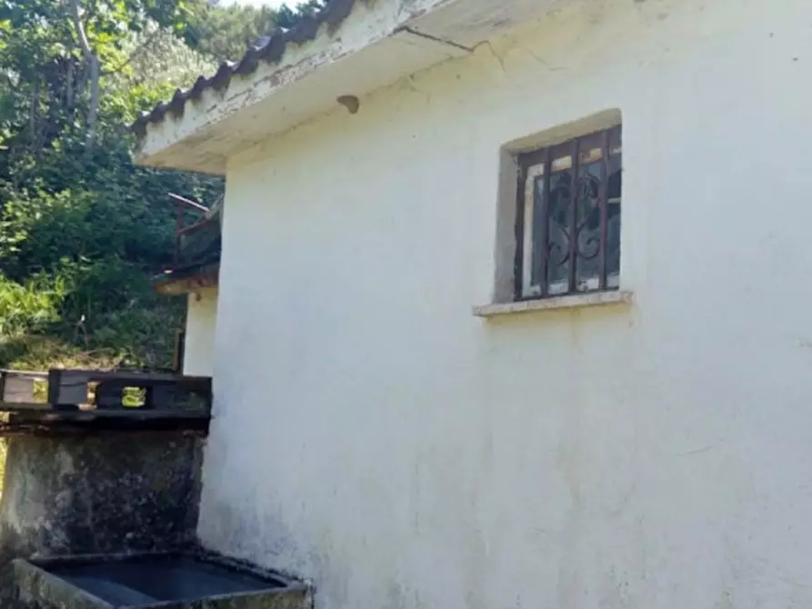 Immagine 4 di Rustico / casale in vendita  in Str. di Colle  Secco a Palombara Sabina