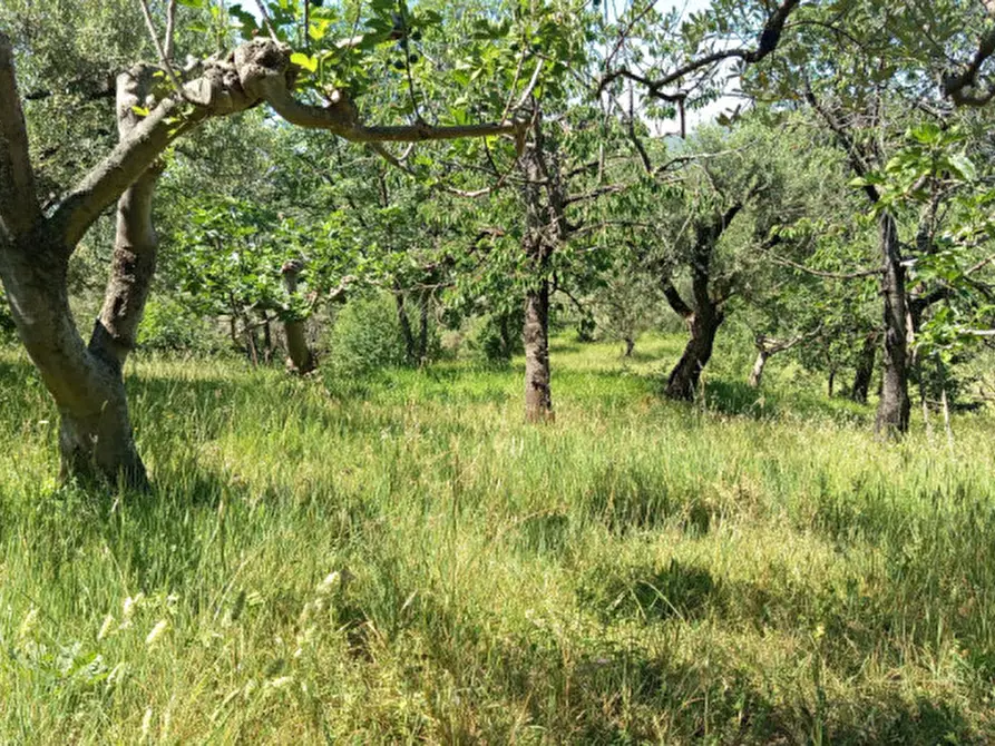 Immagine 10 di Rustico / casale in vendita  in Str. di Colle  Secco a Palombara Sabina