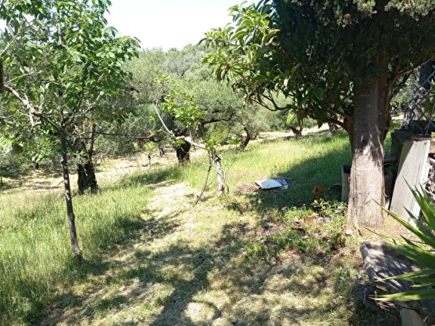 Immagine 11 di Rustico / casale in vendita  in Str. di Colle  Secco a Palombara Sabina