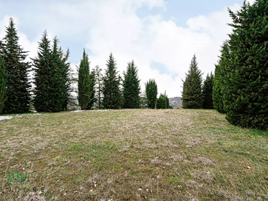 Immagine 1 di Terreno in vendita  in VIA CASALE 4 a Pianoro