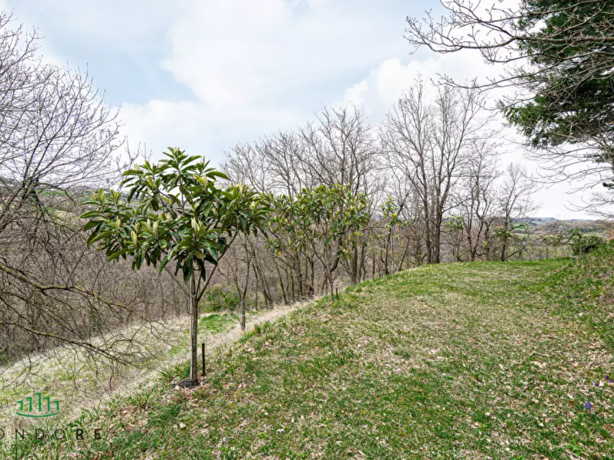 Immagine 3 di Terreno in vendita  in VIA CASALE 4 a Pianoro