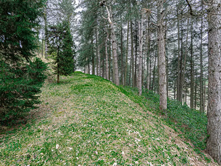 Immagine 5 di Terreno in vendita  in VIA CASALE 4 a Pianoro