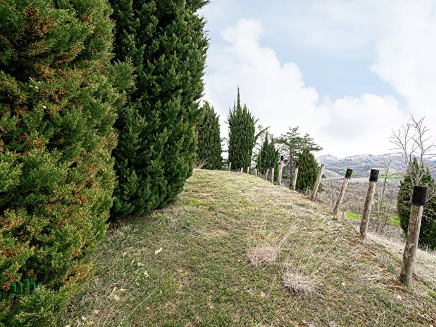 Immagine 9 di Terreno in vendita  in VIA CASALE 4 a Pianoro