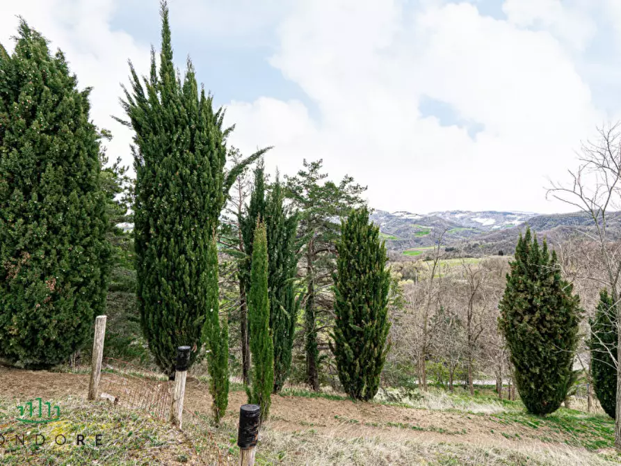 Immagine 10 di Terreno in vendita  in VIA CASALE 4 a Pianoro