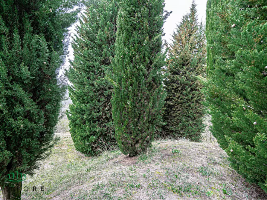 Immagine 17 di Terreno in vendita  in VIA CASALE 4 a Pianoro