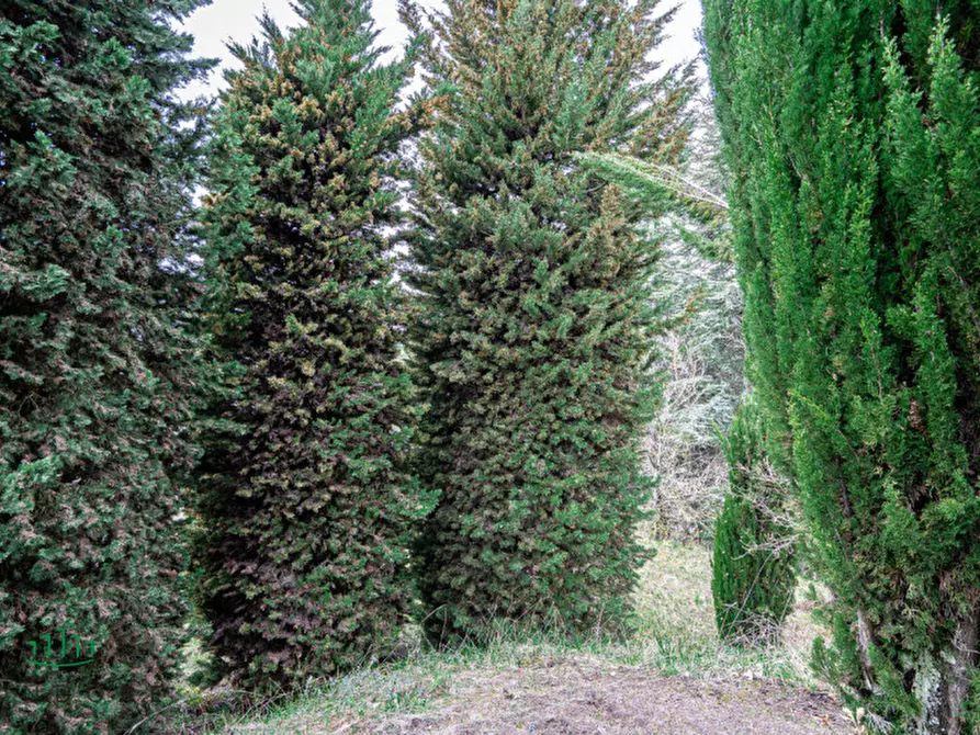 Immagine 18 di Terreno in vendita  in VIA CASALE 4 a Pianoro