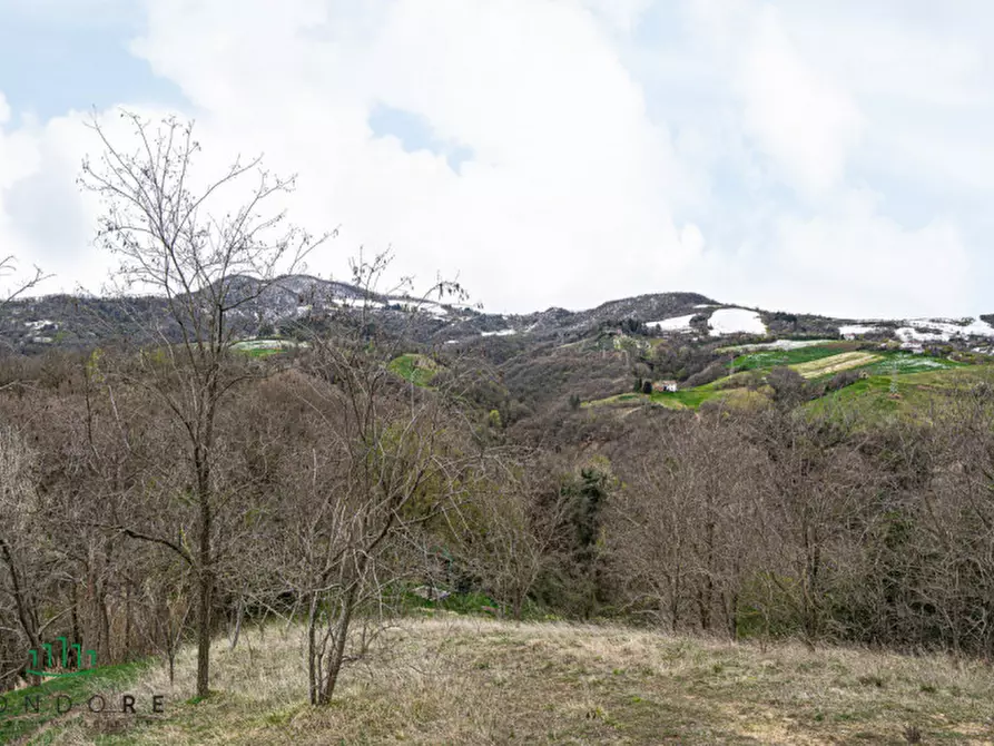 Immagine 20 di Terreno in vendita  in VIA CASALE 4 a Pianoro
