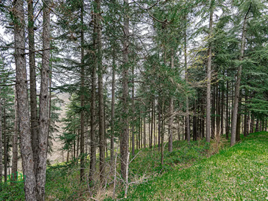 Immagine 21 di Terreno in vendita  in VIA CASALE 4 a Pianoro