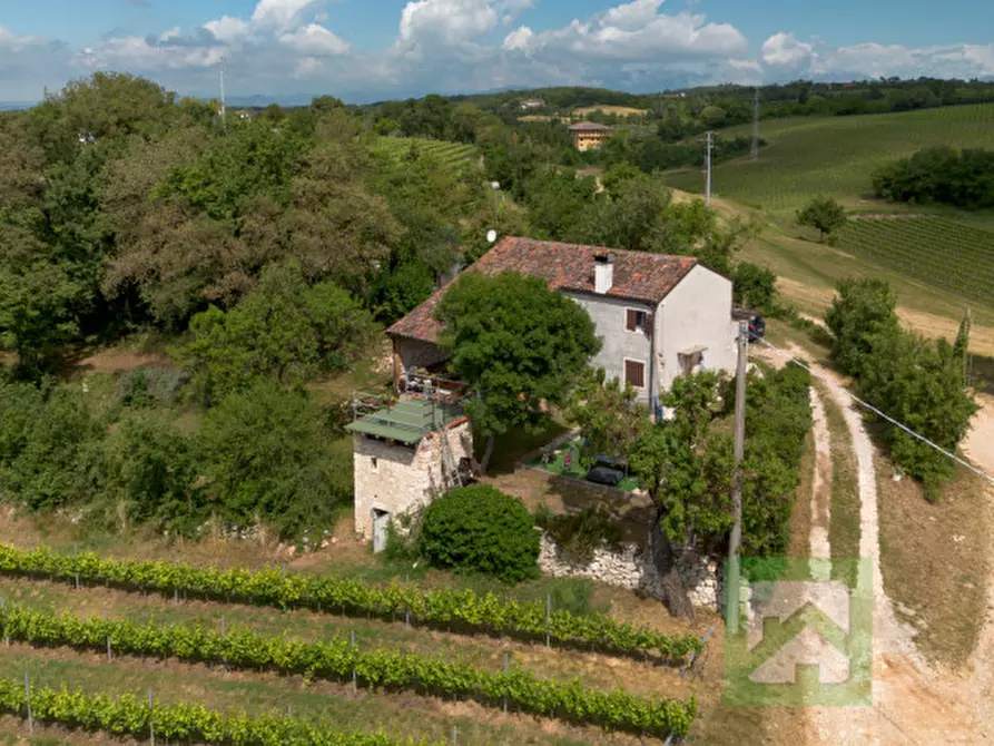 Immagine 1 di Casa indipendente in vendita  a Alonte