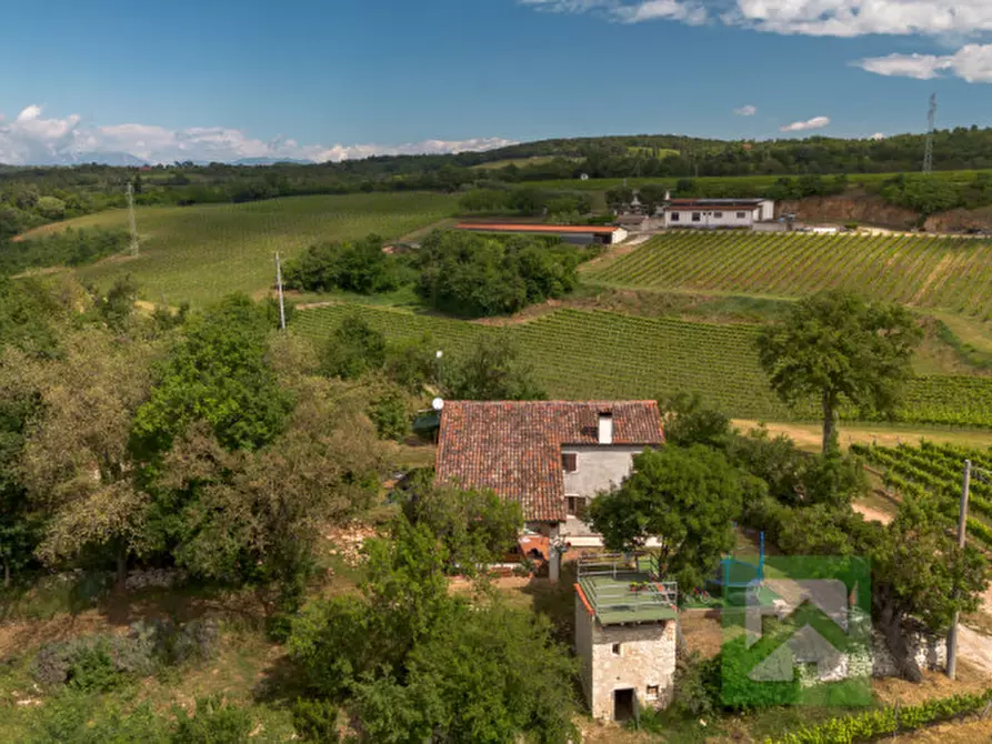 Immagine 2 di Casa indipendente in vendita  a Alonte