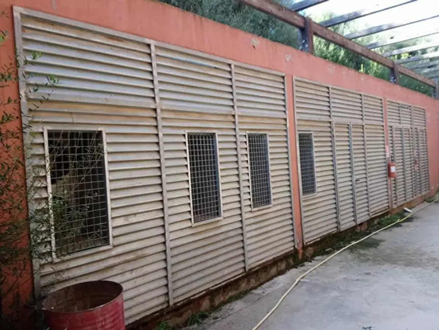 Immagine 28 di Capannone industriale in vendita  in Via della Cooperazione, N. 1-3 a Serrenti