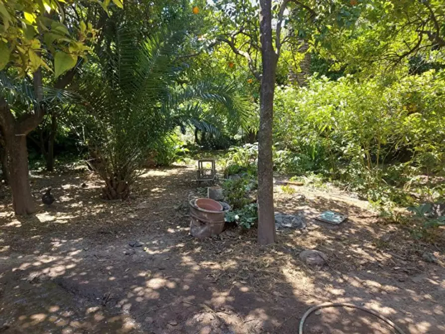 Immagine 3 di Terreno in vendita  in VIA TRE GRAZIE, N. SNC a Grazzanise